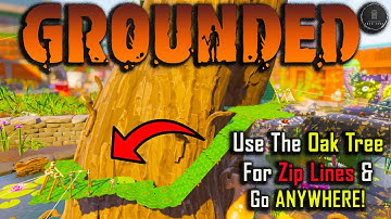 Use The Oak Tree For ALL Zip Lines And Go ANYWHERE! Grounded Zip Line Idea