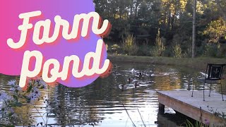 How a Farm Pond Spillway works