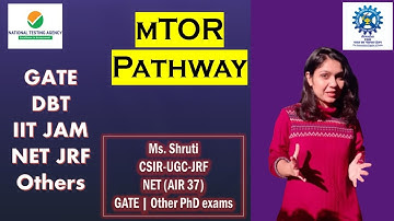 mTOR Pathway | Signaling Pathways | CSIR-UGC-JRF | GATE | IIT JAM BT | DBT JRF | Other JRF/PhD exams