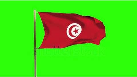 Tunisia flag waving in the wind. Green screen, alpha matte. Loopable animation Stock video by