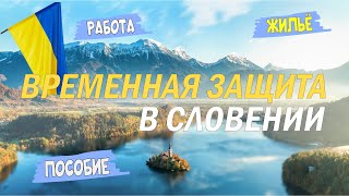 СЛОВЕНИЯ | Статус временной защиты | ПОСОБИЯ, ЖИЛЬЁ, Разрешение на работу