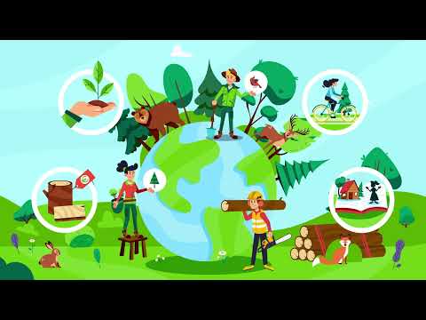 [HUNGARIAN Subtitles] #ResponsibleForestry - Sustainable Forest Management 101