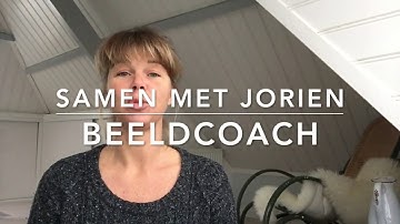 17d) Basisbehoefte Autonomie