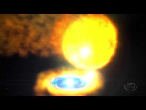 GD პედია - სოფო კიკვილაშვილი - მზის დაბნელება