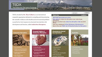 Endocrine Disrupting Chemicals: Science, Policy, and What You Can Do