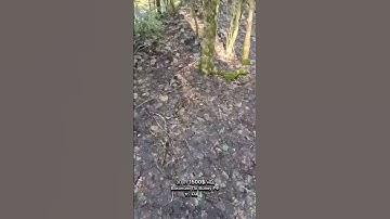 За Такие Видео Даю Кэш В Описании #закладка #закладки #работа #касание #находка