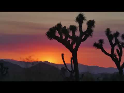 Puscifer  - "Grand Canyon" (Official Video)