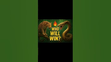 Leopard vs Python – Battle for Survival.#youtubeshorts #viralvideo #shortvideo