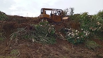 Amazing, easy work on heavy equipment CATERPILLAR BULLDOZER D6R XL cleaning oil palm plantations