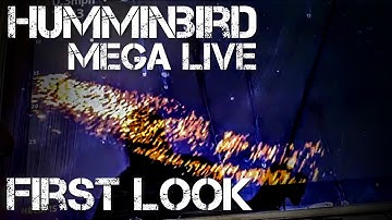 MEGA LIVE - Raw on the Water Video of Humminbird