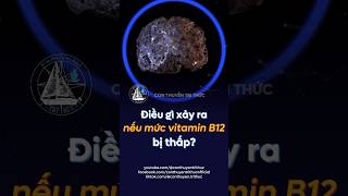 Ep36:Điều gì sẽ xảy ra nếu mức vitamin B12 bị thấp kienthuc khoahoc science shorts knowledge