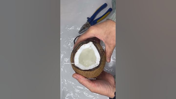 Hindistan Cevizine 15 ₺ verip Ayrı Alsam 300 ₺ Tutacak Ürün Elde Ettim🥥 #hindistancevizi #shorts