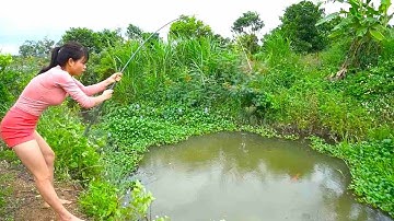 Đĩa câu cá của người đẹp rất lớn, nhưng cô ấy bị con cá lớn bí ẩn đè xuống và không thể nổi lên!