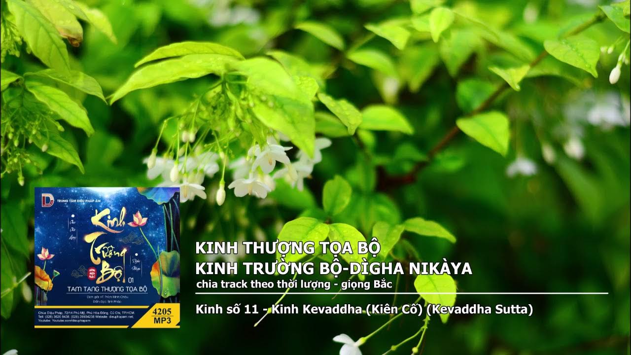 K.số 11 – K.Kiên Cố giọng Bắc 
