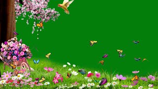 flowers green screen background | butterfly flying green screen animation effects | vfx background