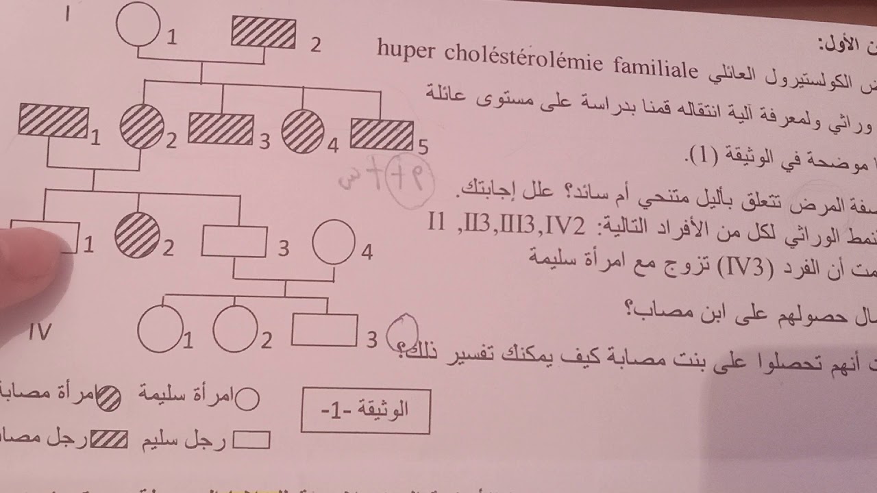 شجرة النسب تمارين الطفرة الثانية ثانوي | إختبار فصل الثالث