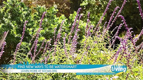 Find new ways to be WaterSmart | Small decisions make a big impact in conserving water