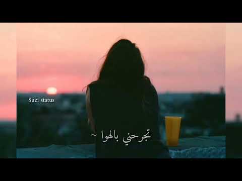 أمير الإحساس هاني شاكر نسيانك صعب أكيد حالات واتس آب حزينه تصميمي