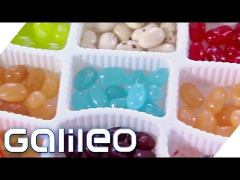 Video: Jelly Bean Bitki Faktları - Jelly Bean Sedumlarının Yetişdirilməsi Haqqında məlumat əldə edin