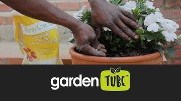 Top Organic Fertiliser for Strong Roots & Greener Growth