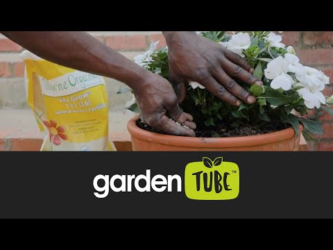 Top Organic Fertiliser for Strong Roots & Greener Growth