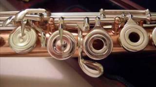 Pearl Flute - A Little Flute Help?
