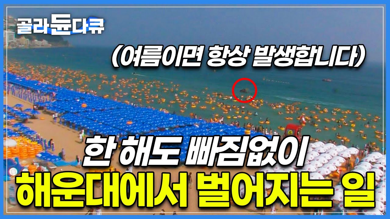 수십만 인파가 몰리는 부산 해운대에 매년 벌어지는 일│여름이면 찾아오는 끊임없는 사고를 막는 사람들 '해운대 수상구조대'│안전한 물놀이를 할 수 있는 이유│극한직업│#골라듄다큐