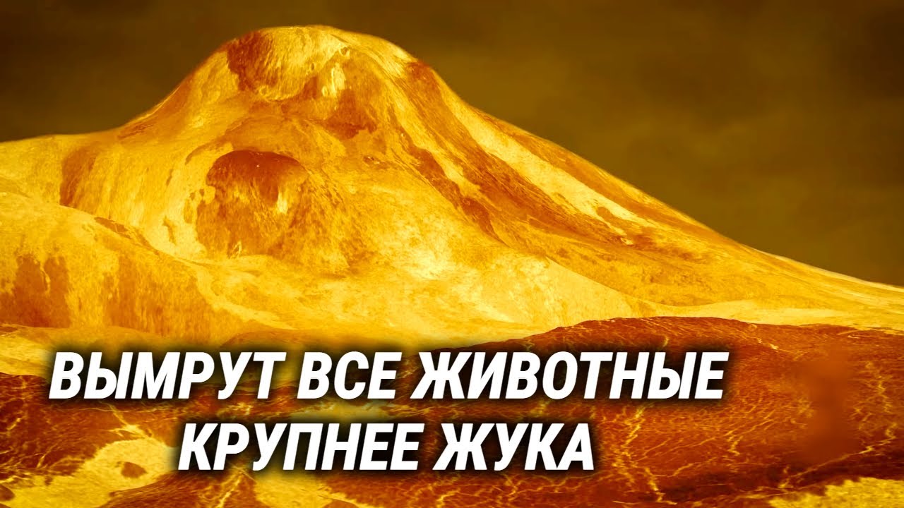 Как изменится природа на Земле из-за глобального потепления - YouTube