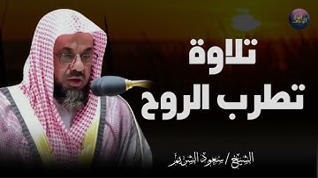 تلاوة تريح النفس ما تيسر من القرآن  لإمام الحرم المكي الشريف سعود الشريم Saud Al Shuraim