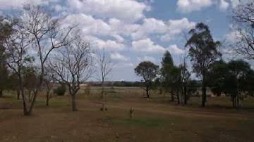 #0216 The Window | #TimeLapseProject | 2025-11-01 | [02/11/2025 0511]