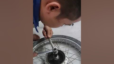 cảo lưng bạc đạn bể ( cảo cabi vỡ) thương hiệu độc quyền CSG: 0777555558