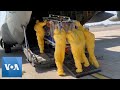 Italian Military Airlifts Coronavirus Patients