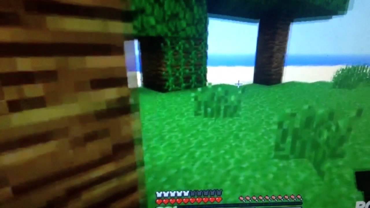 Epic MCCrafter100 vs Ipocketisland Fight