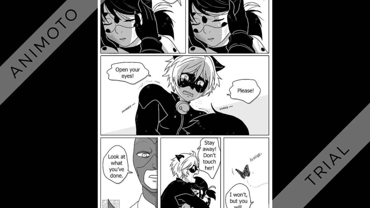 Miraculous Ladybug Comic Chat Blanc