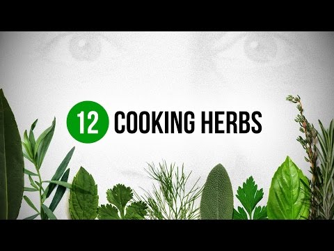 Video: Provencal Herbs In The Garden And On The Windowsill - Cultivation And Use. Names, Descriptions, Photos