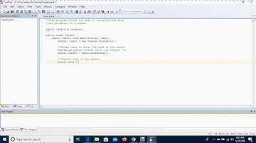 Java Program that computes the Area & Perimeter of a Square