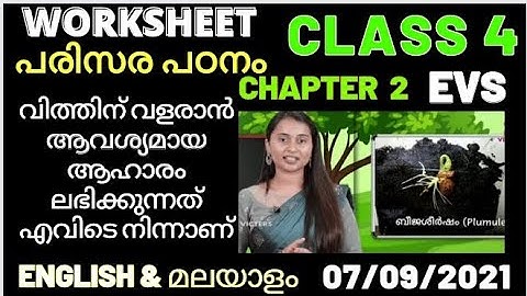 std 4 evs ഇലയ്‌ക്കുമുണ്ട് പറയാൻ leaf too has to say activities