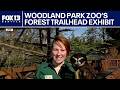 Woodland Park Zoo to open new Forest Trailhead exhibit