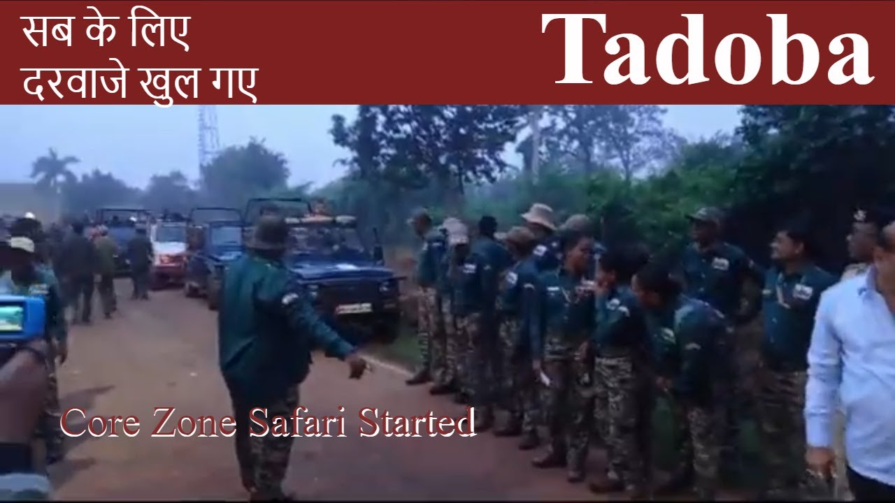 Tadoba Gate Opened For All Online Booking Started Lets Go To Tadoba tadoba-gate-opened-for-all-online-booking-started-lets-go-to-tadoba