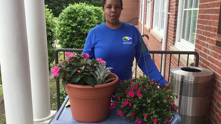 ESRC: Tips on how to keep your plants!