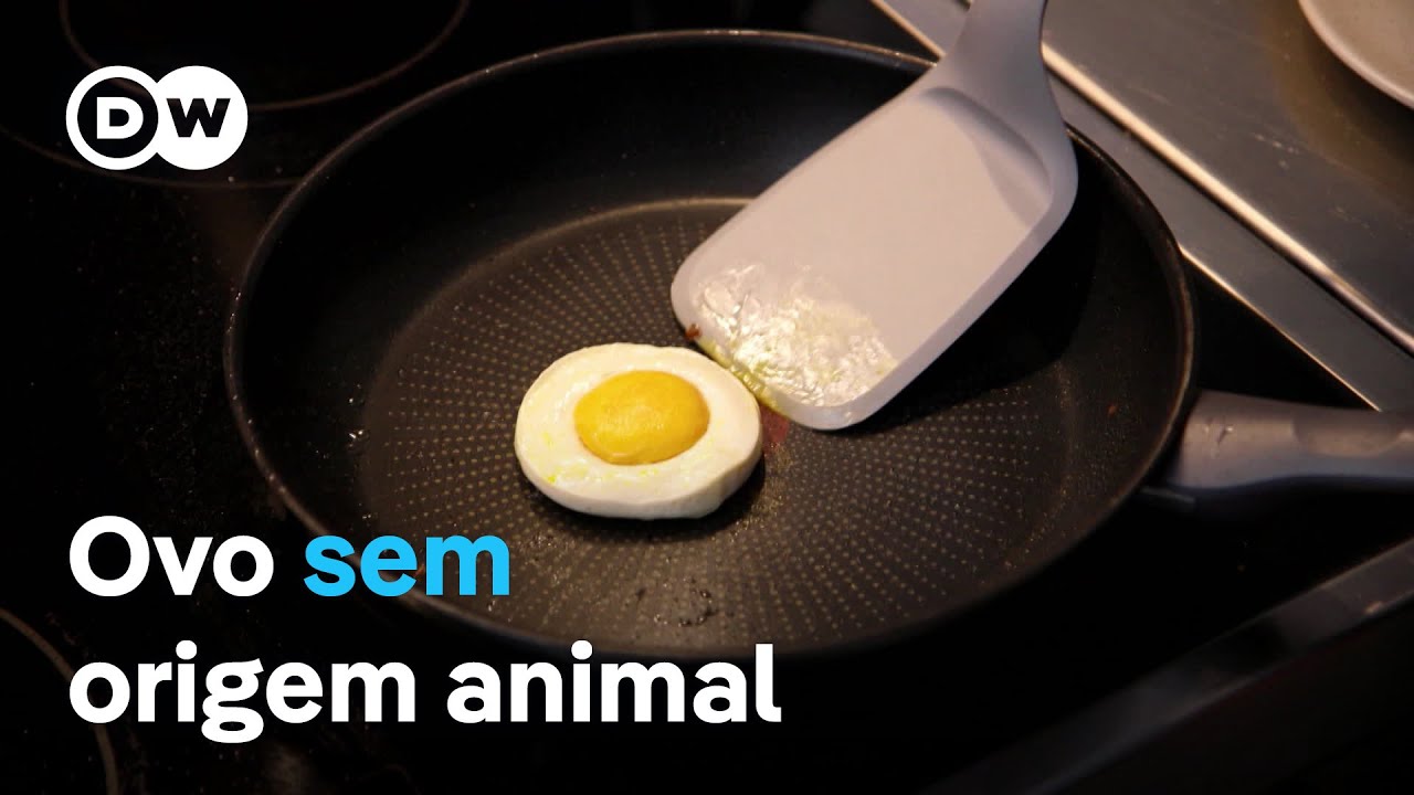 Cientistas desenvolvem ovo vegano, com casca, clara e gema