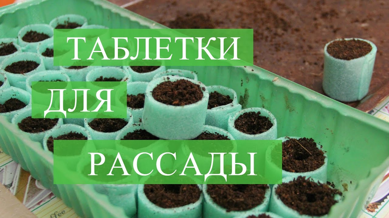 ⁣Как Сделать Таблетки для Рассады. Торфяные таблетки больше не нужны!