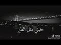 خليني مثل الطير خليني مثل الطير
