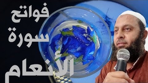 فواتح سورة الأنعام للقارئ محمد شاهين من تايلاند