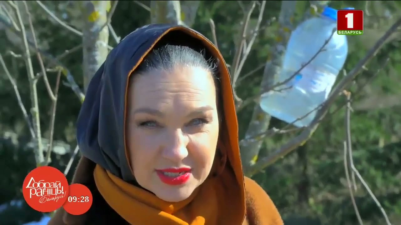 Светлана Боровская Новый Муж Фото