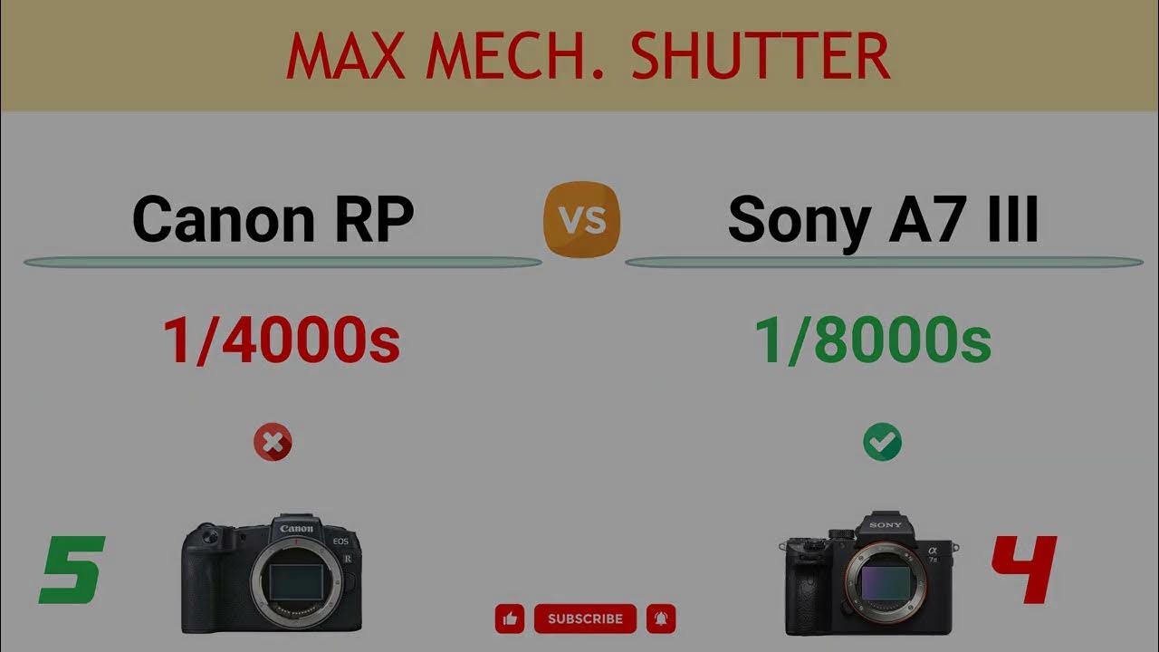 I Pitted Canon's 'Affordable' EOS RP Against My Beloved Sony A7 III