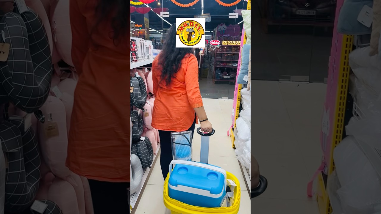 Ice box for travel or Picnic purpose from Mr.DIY 