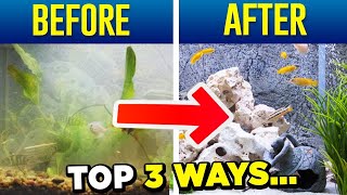 How To Get Crystal Clear Water In Your Fish tank! 