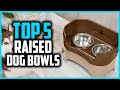 ✅Top 5 Best Raised Dog Bowls in 2025