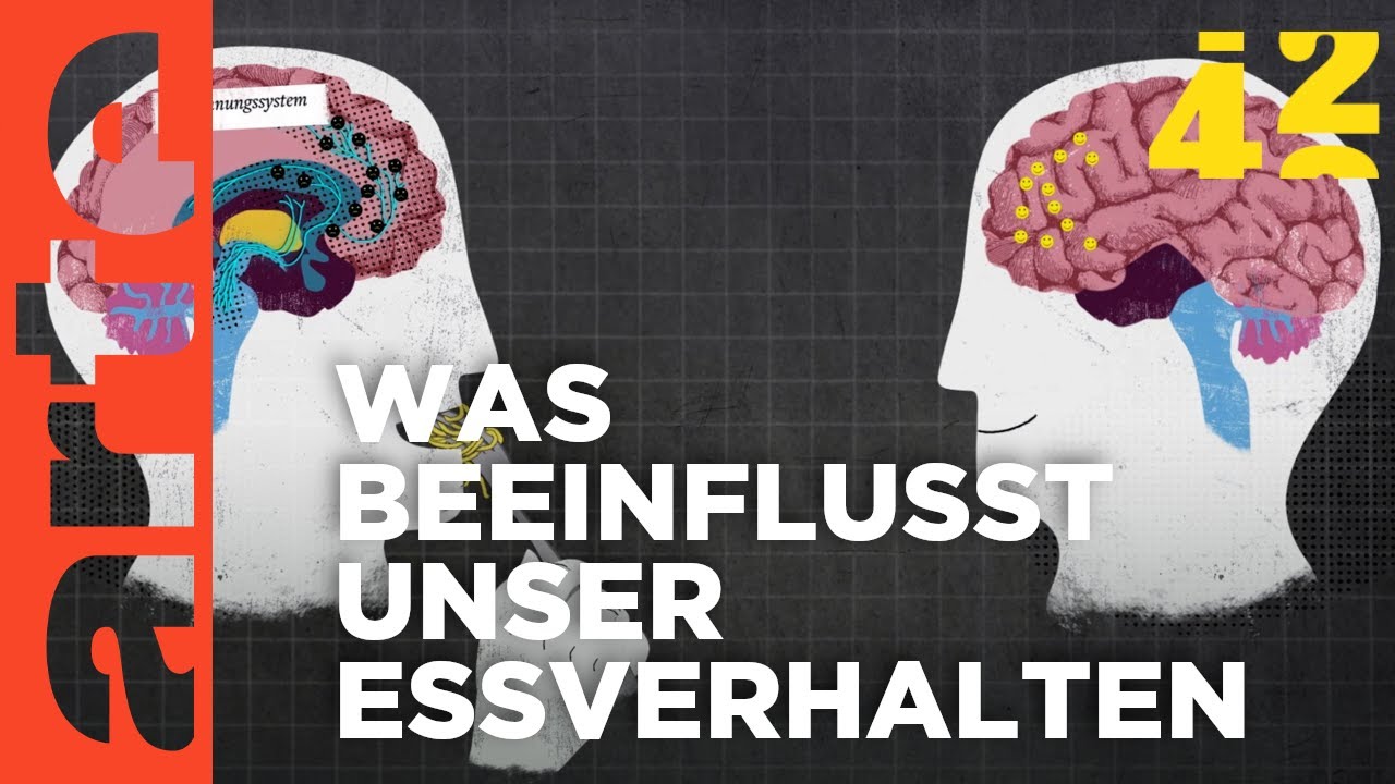 Merkwürdiges Essverhalten: Fabio (12) will nur noch Chips essen! | Die Familienhelfer | SAT.1